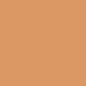 LA Girl Pro.Conceal HD Concealer -GC9