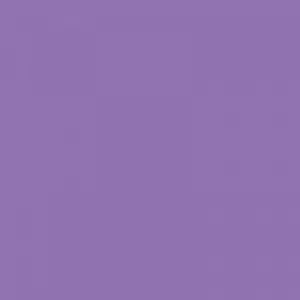 Ruby Kisses Matte Lipstick RMLS