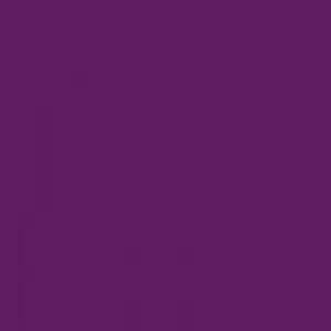 Beauty Town Large Thick Hair Net