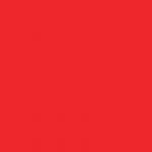 Beauty Town Large Thick Hair Net