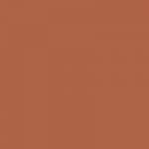 Ruby Kisses RKBC HD Brush Concealer