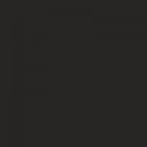 Ruby Kisses RAEW Perfect Precision Waterproof Eyeliner