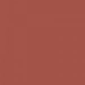 Ruby Kisses Matte Lipstick RMLS