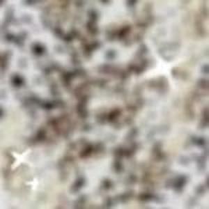 Eye Kandy Glitter Colors (Non Kit Purchase)