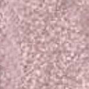 Kiss New York Professional Quick Dry Nail Polish QP