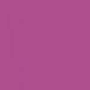 Ruby Kisses Matte Lipstick RMLS