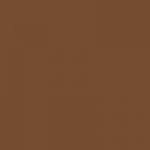 Ruby Kisses RKBC HD Brush Concealer