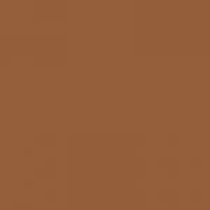 Ruby Kisses RKBC HD Brush Concealer