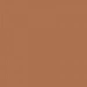 Ruby Kisses RKBC HD Brush Concealer