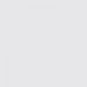 Beauty Town Large Thick Hair Net